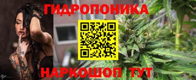 гидра Отрадный